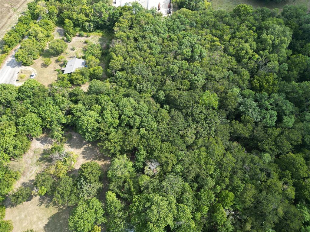 1214 Old Millwood Road Rockwall, TX 75087 - Photo 12 of 24 view of a lush green forest with lots of trees