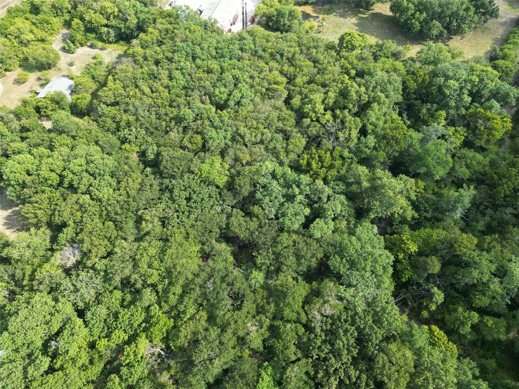 1214 Old Millwood Road Rockwall, TX 75087 - Photo 15 of 24 a view of a large yard with plants and large trees