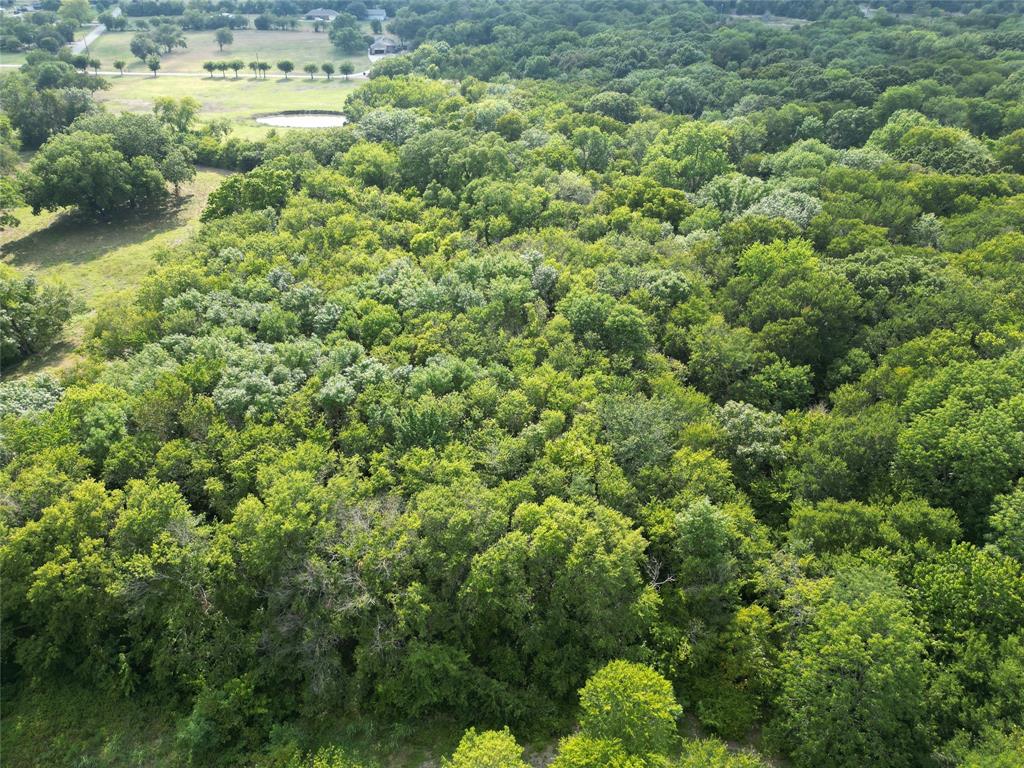 1214 Old Millwood Road Rockwall, TX 75087 - Photo 18 of 24 a view of a forest with a tree