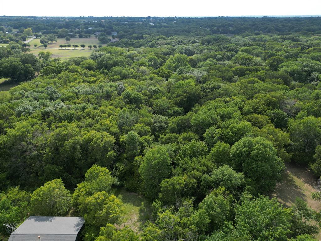 1214 Old Millwood Road Rockwall, TX 75087 - Photo 20 of 24 a view of a lush green forest with trees and some houses