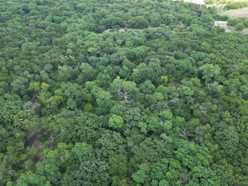 1214 Old Millwood Road Rockwall, TX 75087 - Photo 7 of 24 an aerial view of residential house with outdoor space and trees all around