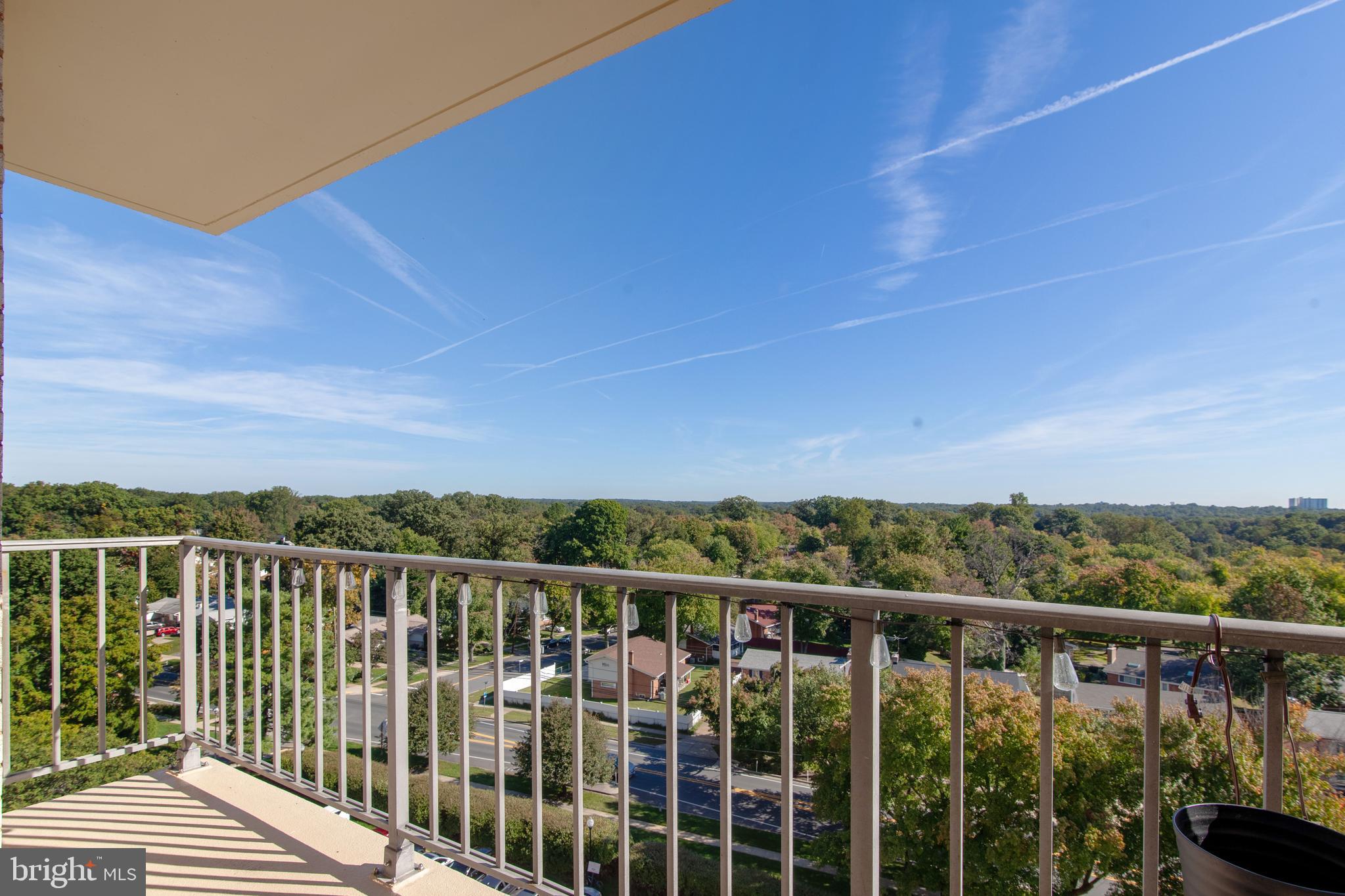 1121 University Boulevard West, Unit 1002 Silver Spring, MD 20902 - Photo 18 of 18 Balcony View
