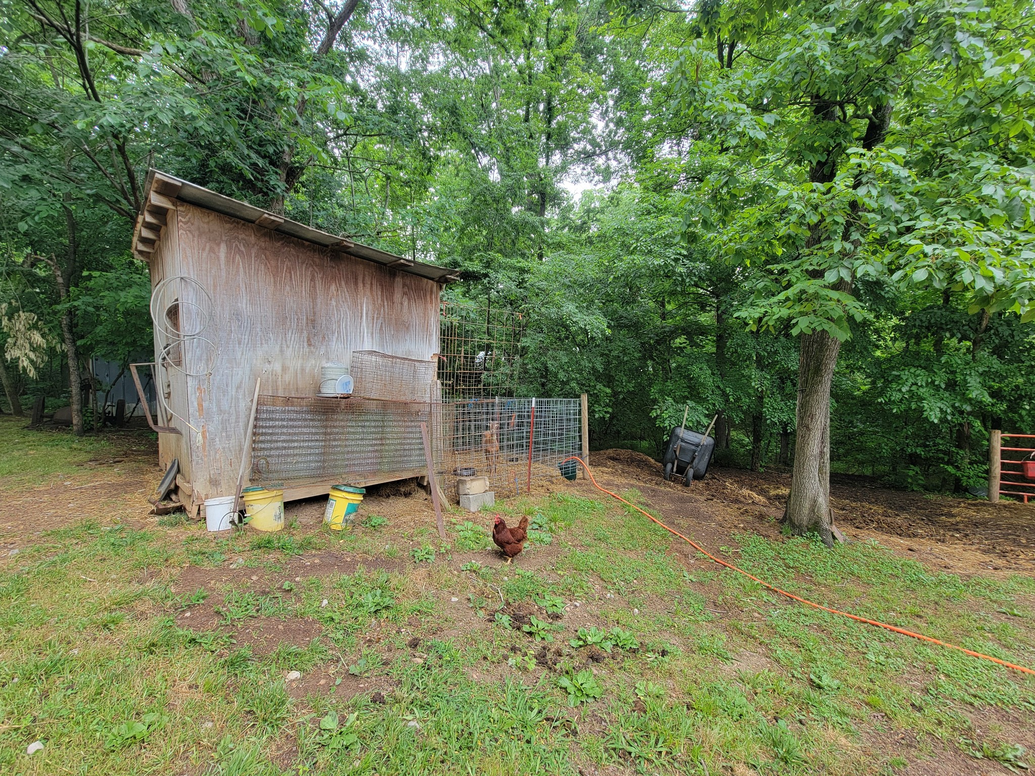 1089 Jim Clark Road Erin, TN 37061 - Photo 49 of 71
