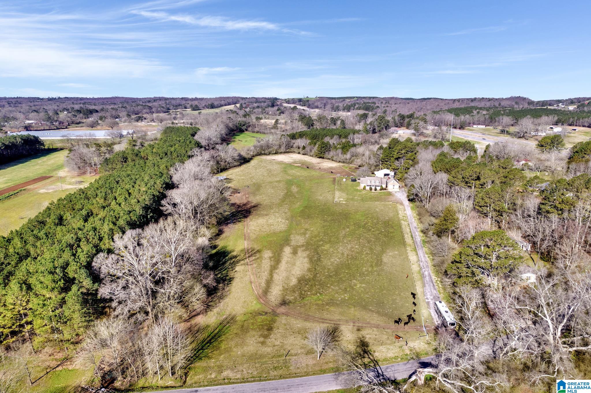 5353 Old Scott Road Blountsville, AL 35031 - Photo 29 of 41