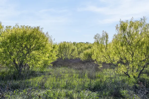 $1,299,900 | 0 County Road 414, Rockdale, TX 76567