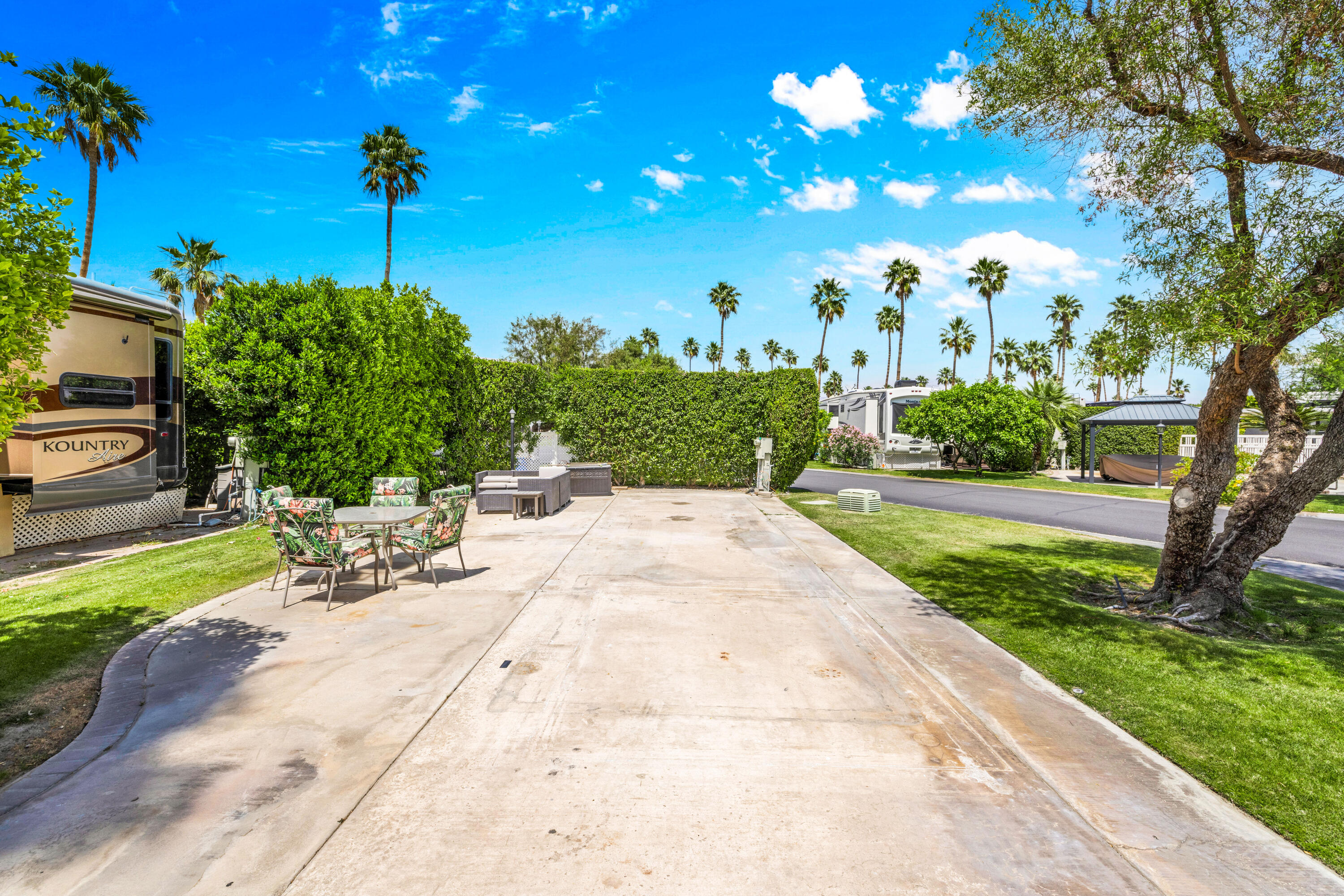 a view of a patio with a tree
