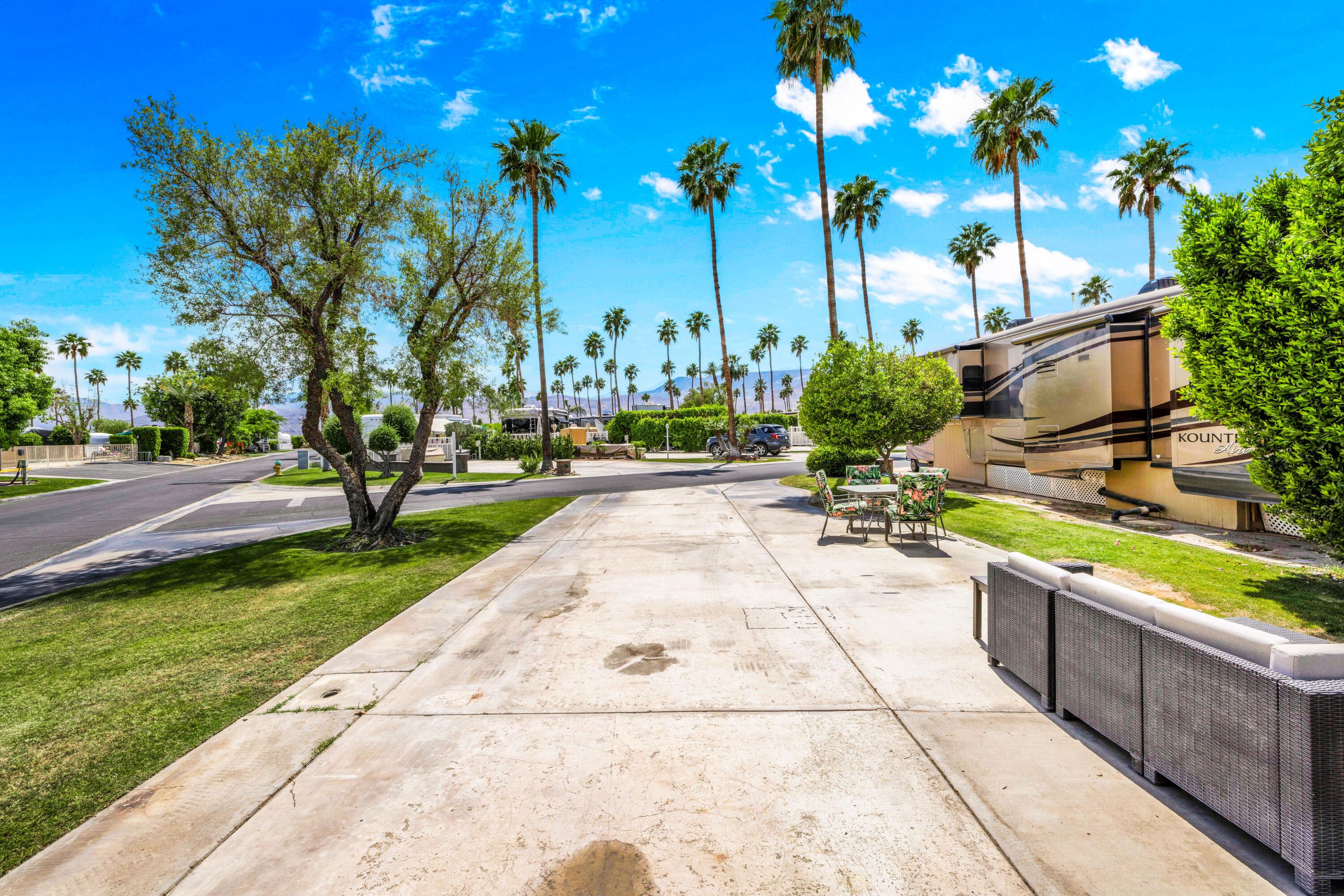 69411 Ramon Road, Unit 359 Cathedral City, CA 92234 - Photo 14 of 51 a view of a backyard with palm trees