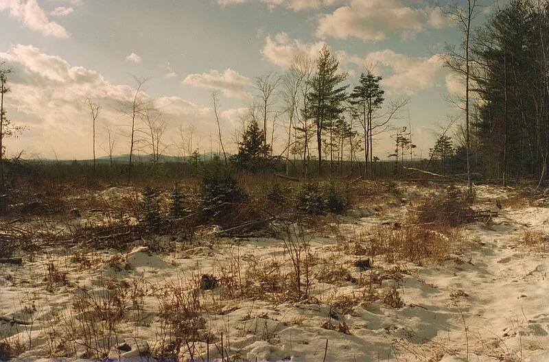 R7-21 River Road Madison, ME 04950 - Photo 5 of 13 Shannon Land Pic5