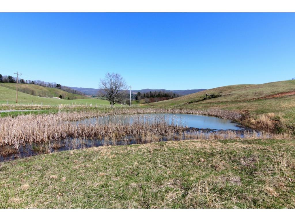 POND LOOKING EAST