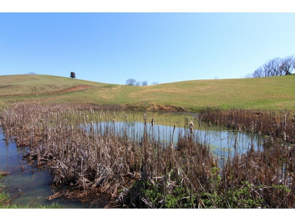 0 Huggins Road Mountain City, TN 37683 - Photo 11 of 17 POND