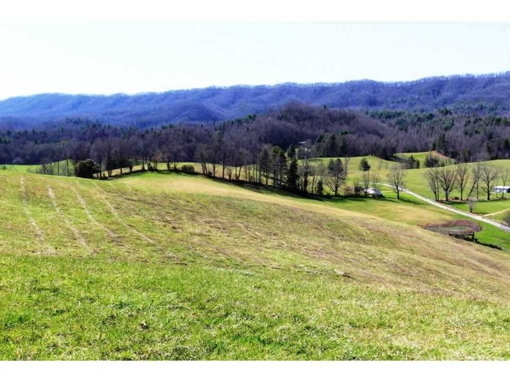 0 Huggins Road Mountain City, TN 37683 - Photo 13 of 17 WEST