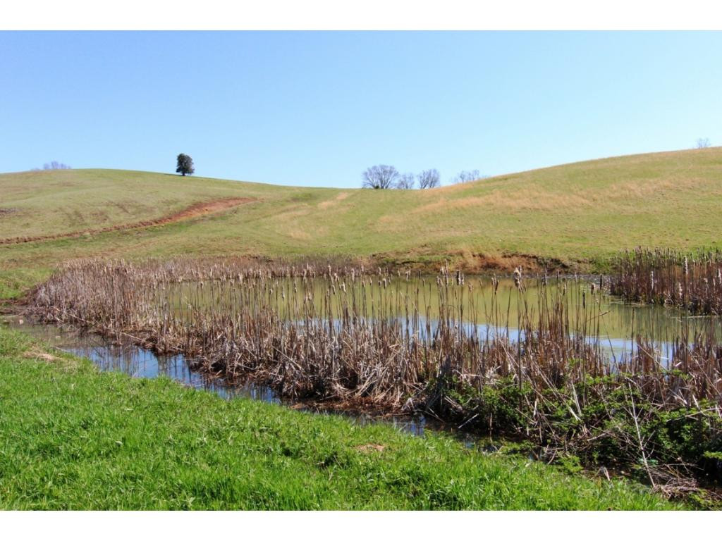 0 Huggins Road Mountain City, TN 37683 - Photo 16 of 17 POND AND PARCEL