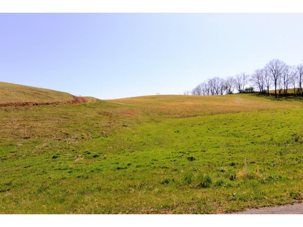 0 Huggins Road Mountain City, TN 37683 - Photo 17 of 17 PARCEL AND ROAD