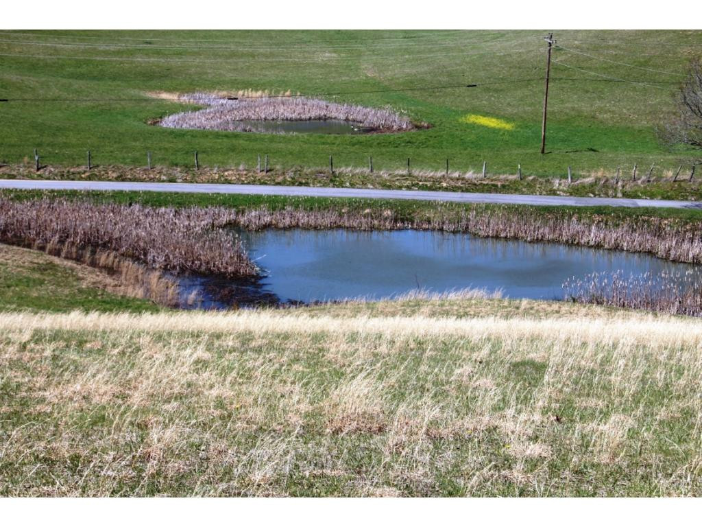 LOOKING DOWN ON POND