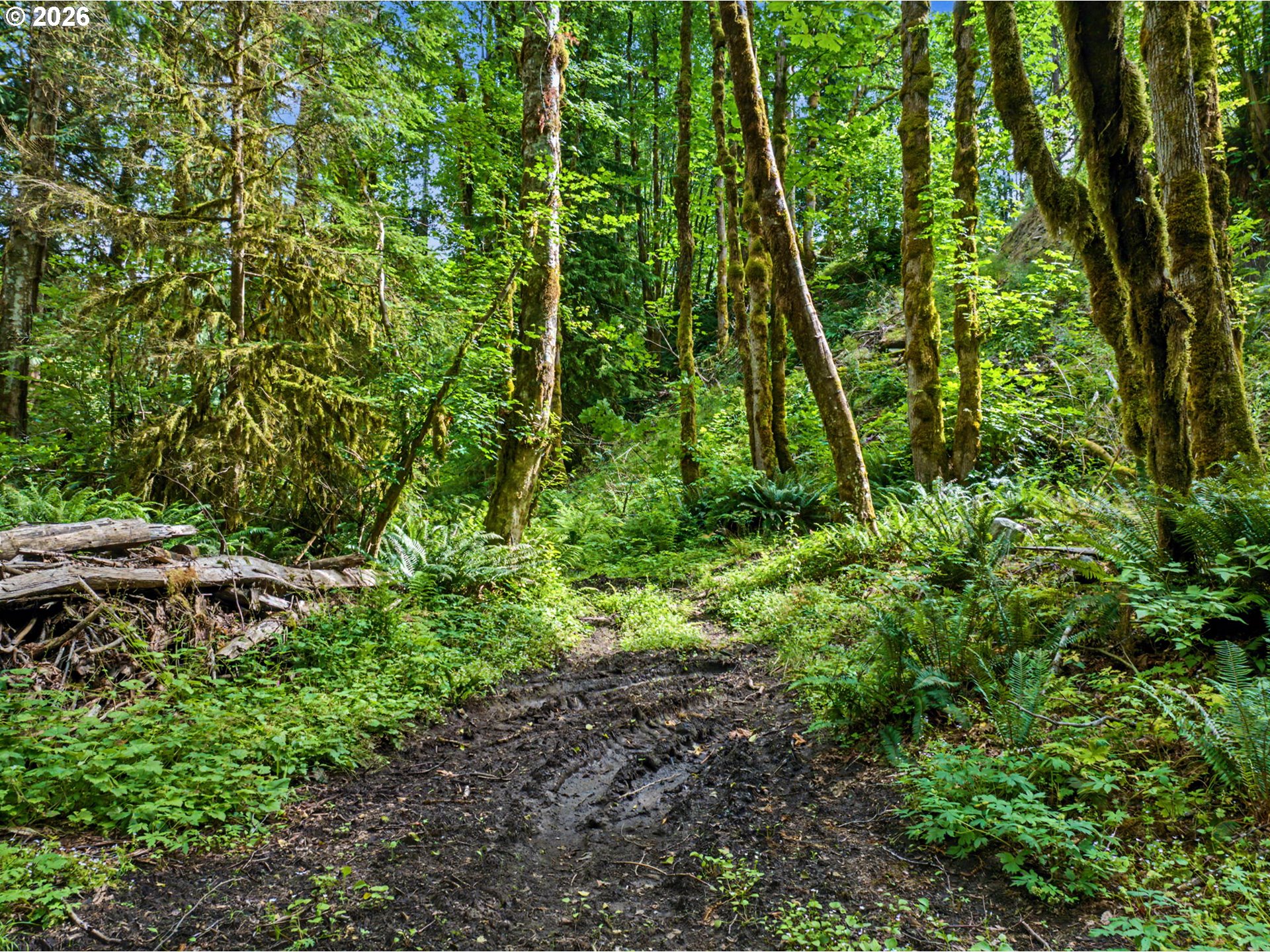 64601 East Brightwood Loop Road Brightwood, OR 97011 - Photo 41 of 48