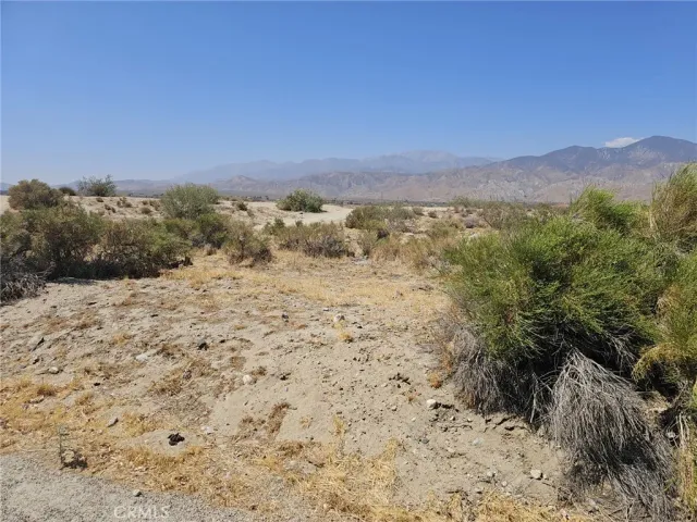 a view of a dry yard with mountains in the background