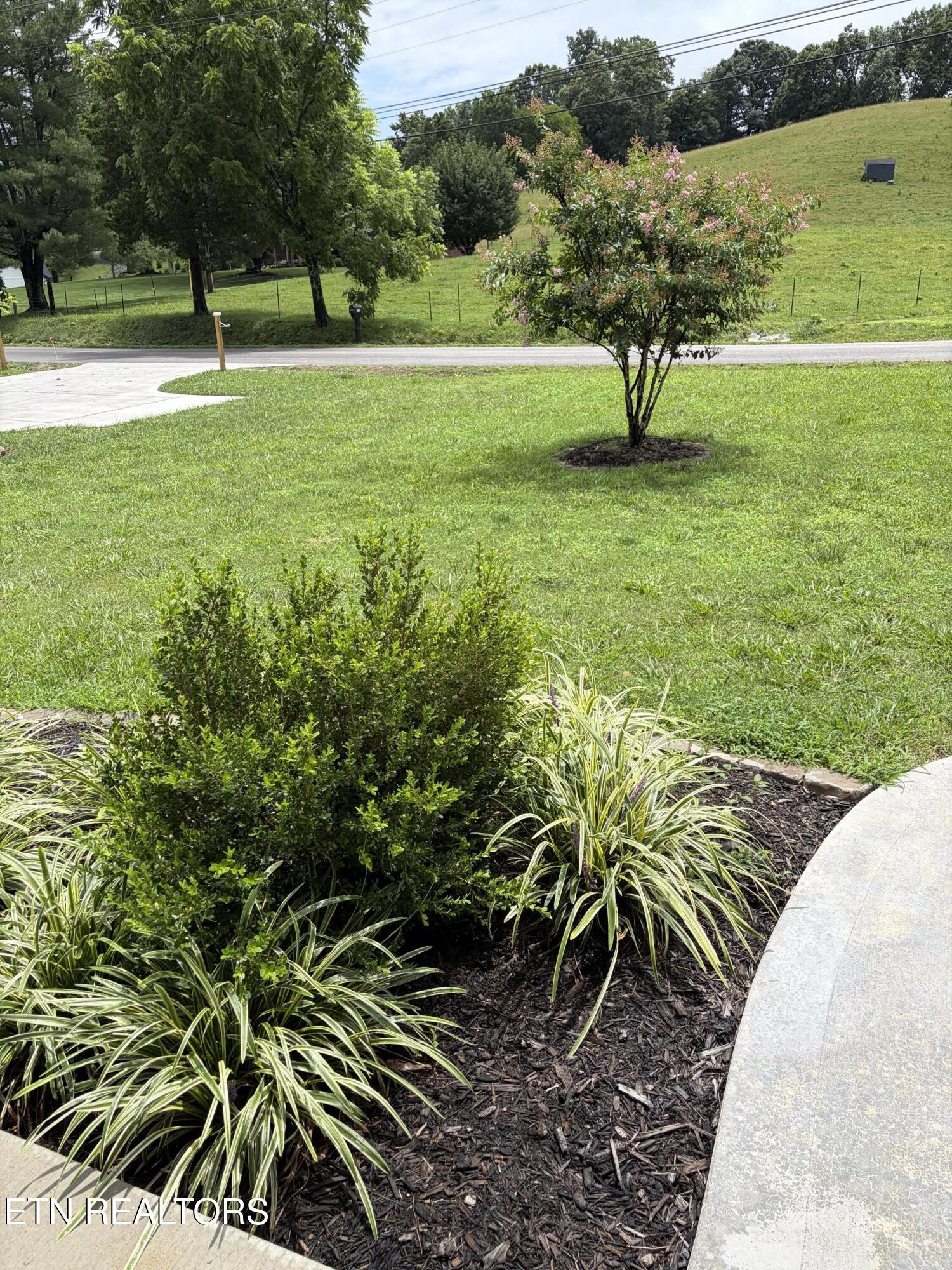 762 Hillvale Road Andersonville, TN 37705 - Photo 5 of 27 (Upload-from-mobile-1782692154)IMG_5665