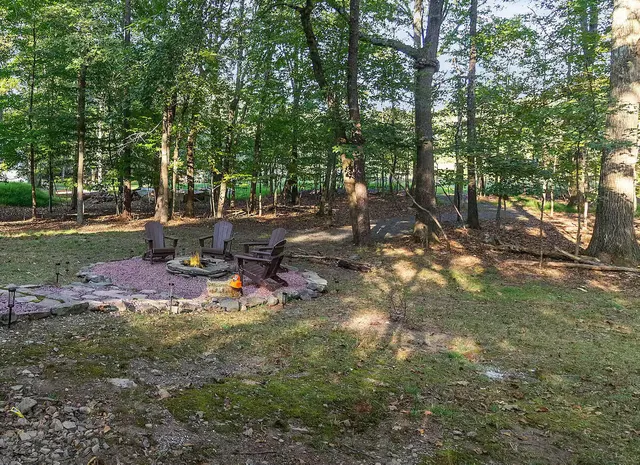a view of a park with large trees