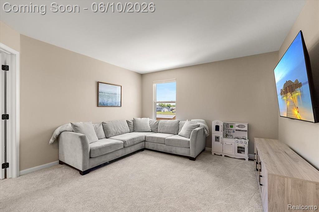 71471 Julius Drive Romeo, MI 48065 - Photo 18 of 36
