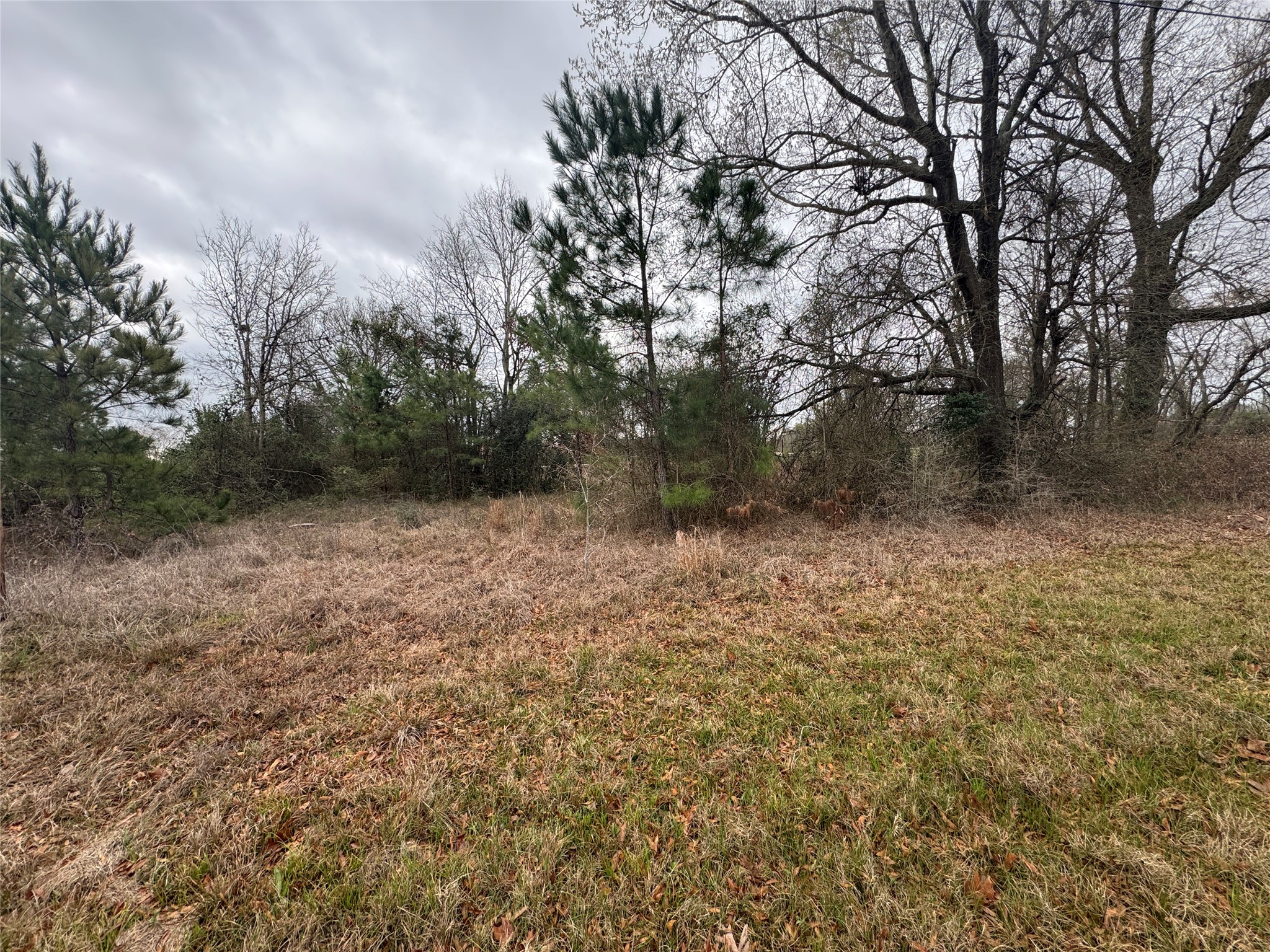 980 S Point South Point Blank, TX 77364 - Photo 1 of 8 Partially cleared lot