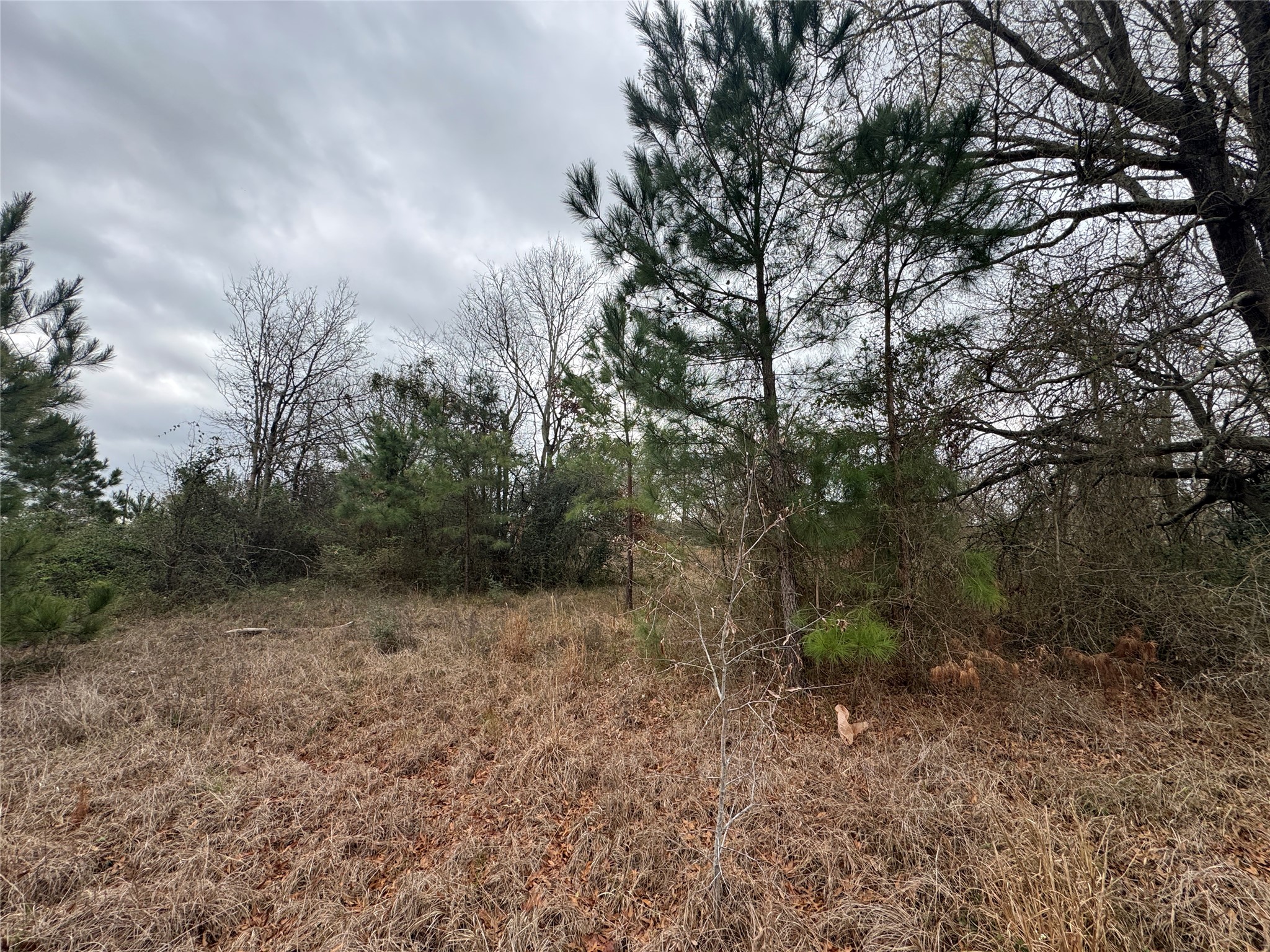 980 S Point South Point Blank, TX 77364 - Photo 2 of 8