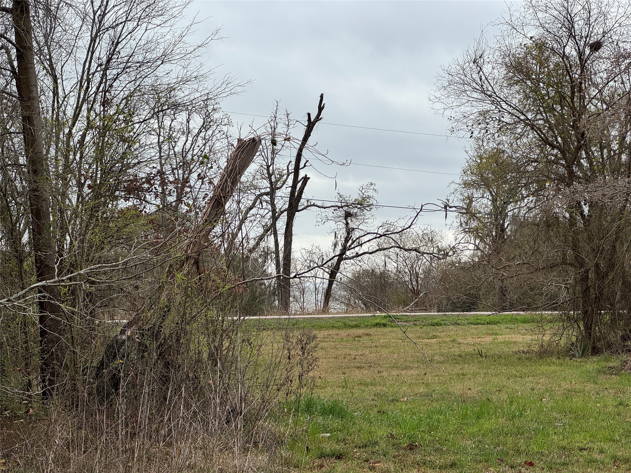 980 S Point South Point Blank, TX 77364 - Photo 3 of 8 Lake within view of the property