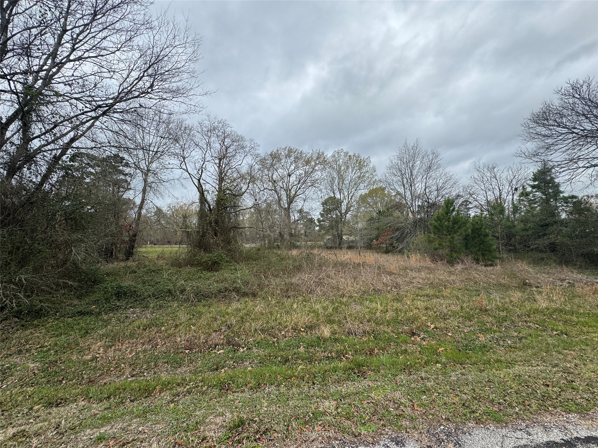 980 S Point South Point Blank, TX 77364 - Photo 4 of 8