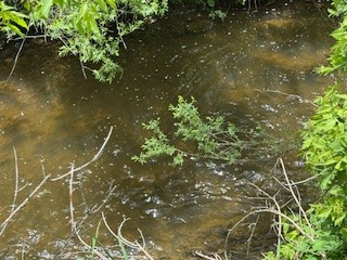 105 Loomis Road Columbus, NY 13460 - Photo 11 of 13