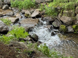 105 Loomis Road Columbus, NY 13460 - Photo 12 of 13