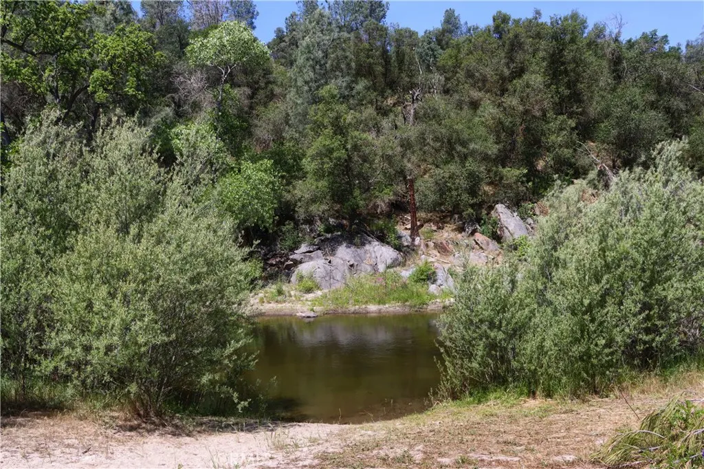 80 Polk Ranch Road Coarsegold, CA 93614 - Photo 5 of 31