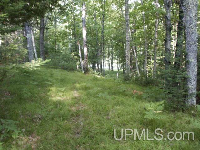 Parcel 2 Off County Rd 577, Unit 2 Carney, MI 49812 - Photo 9 of 13