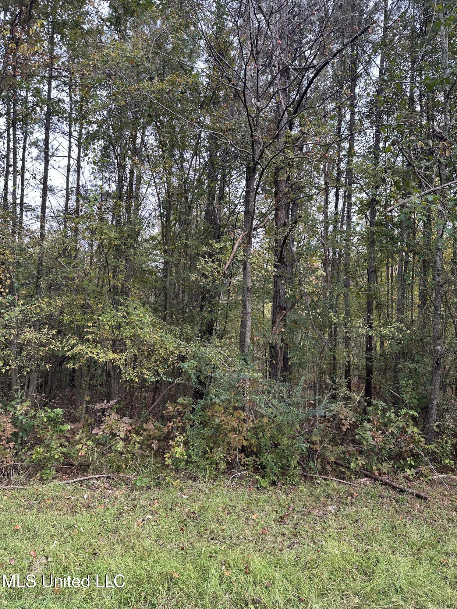 Mcraven Road Clinton, MS 39056 - Photo 12 of 16 IMG_0212