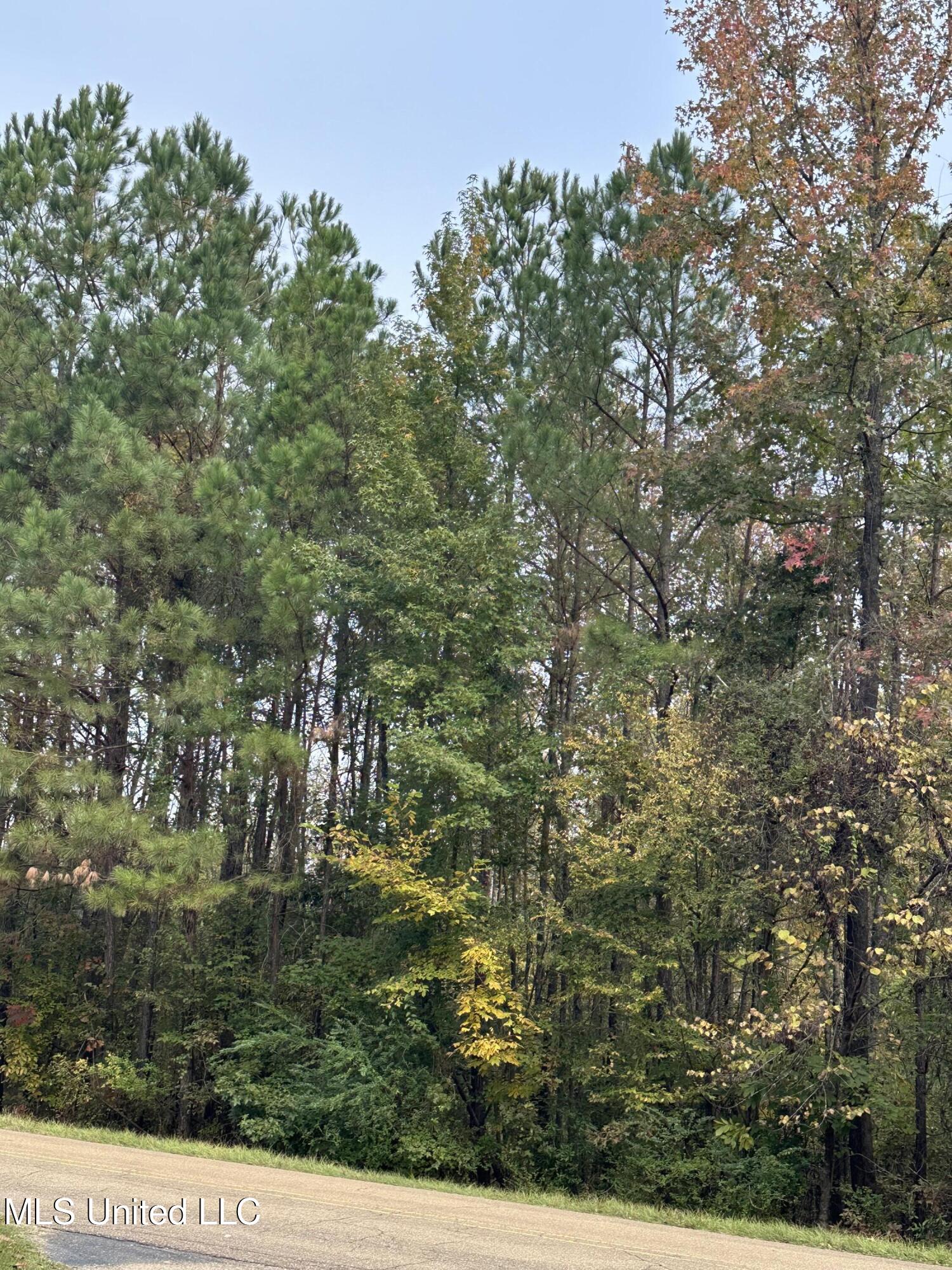 Mcraven Road Clinton, MS 39056 - Photo 13 of 16 IMG_0253