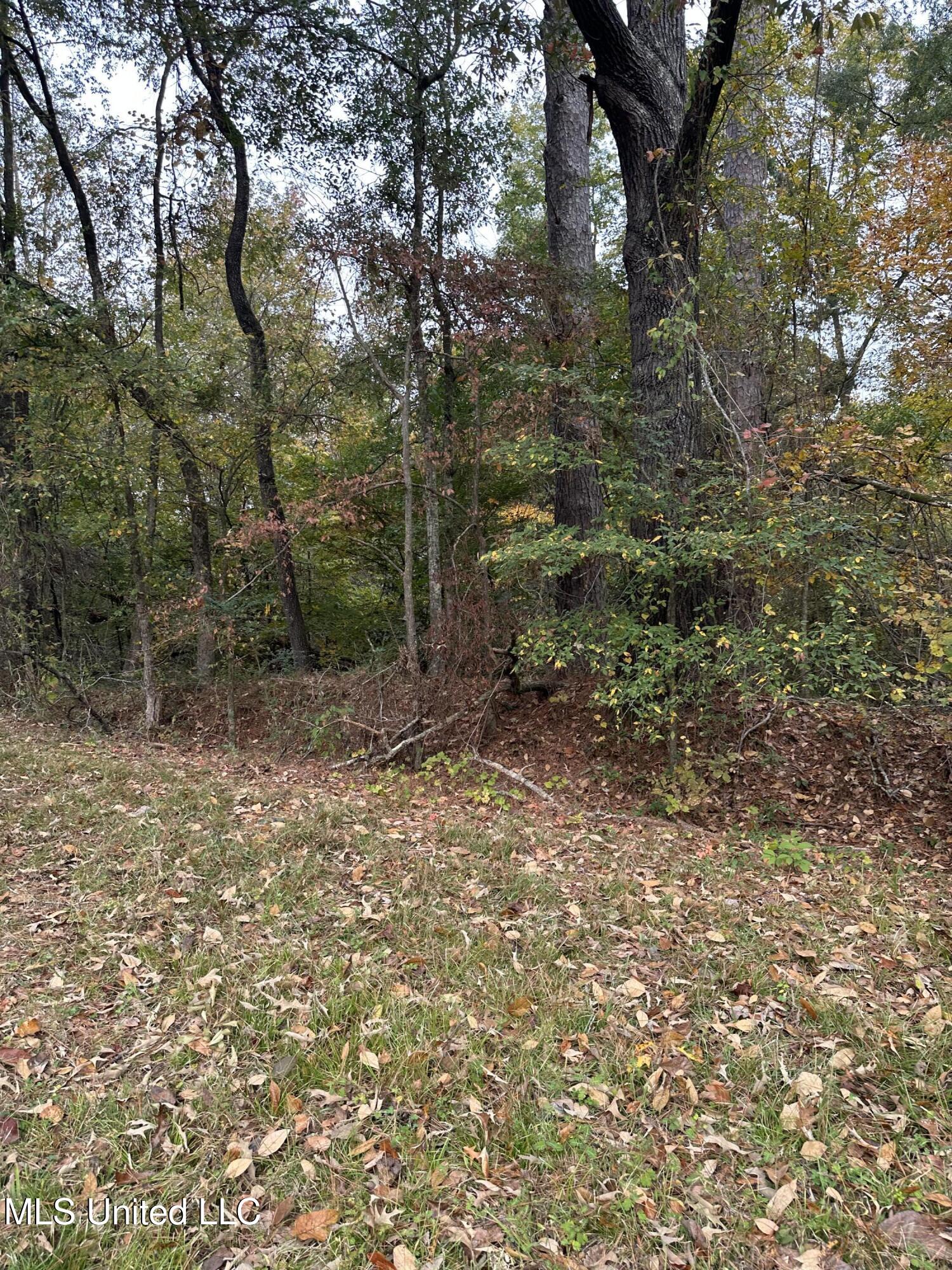 Mcraven Road Clinton, MS 39056 - Photo 14 of 16 IMG_0244