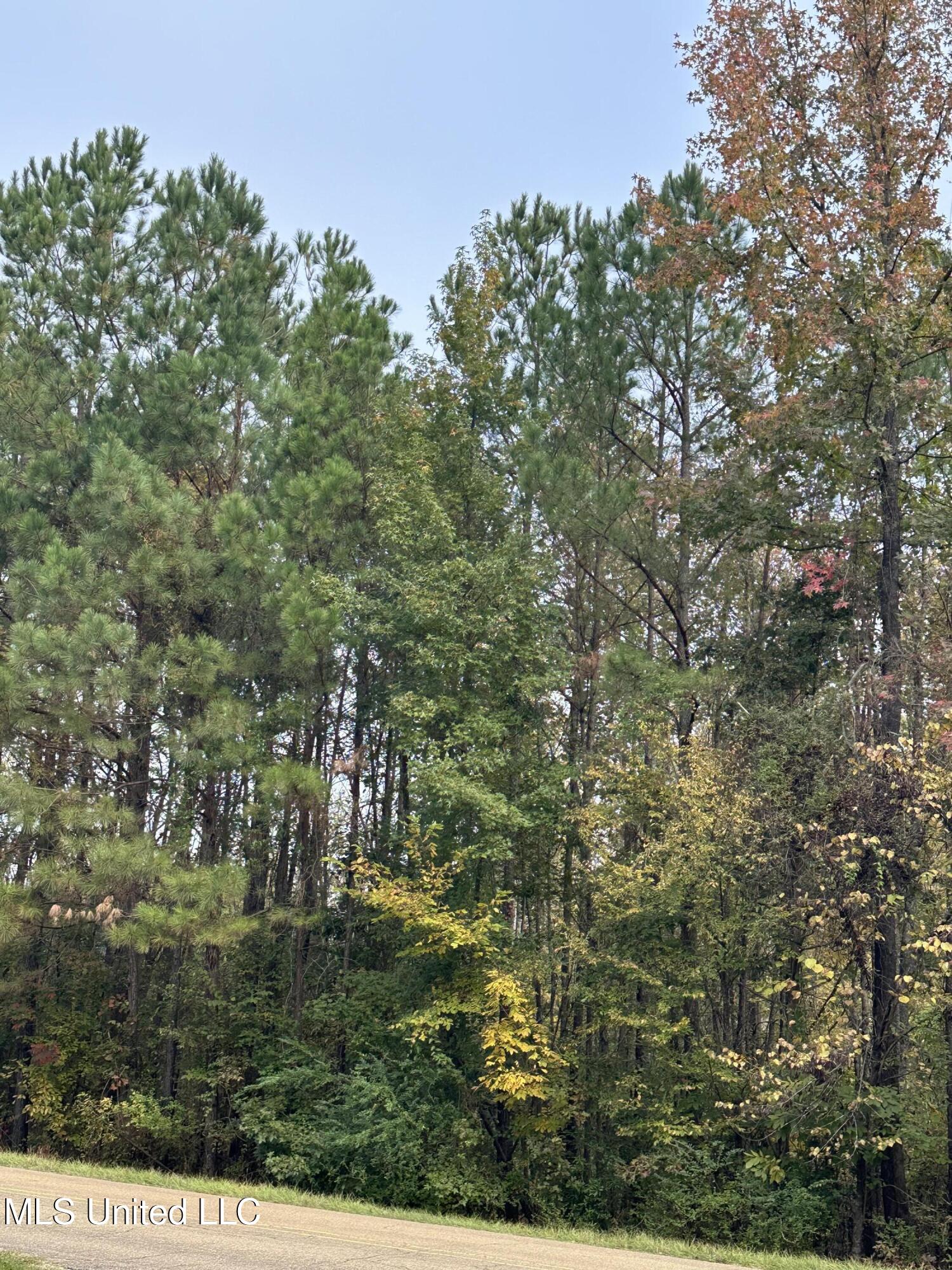 Mcraven Road Clinton, MS 39056 - Photo 15 of 16 IMG_0252