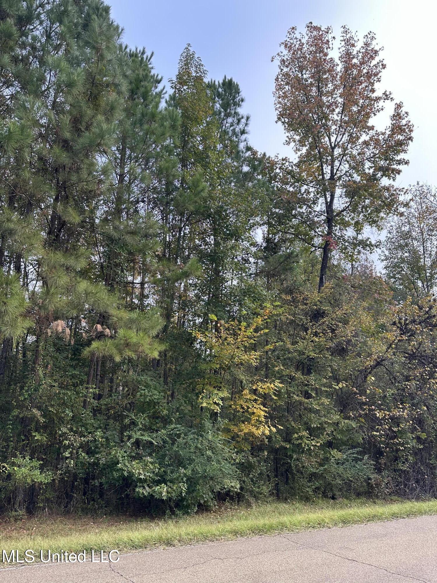 Mcraven Road Clinton, MS 39056 - Photo 2 of 16 IMG_0237