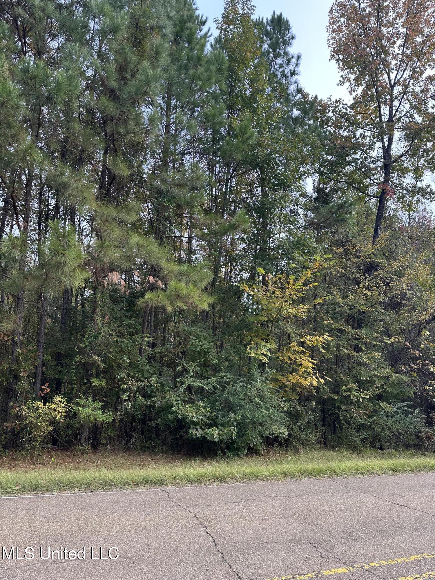 Mcraven Road Clinton, MS 39056 - Photo 3 of 16 IMG_0235