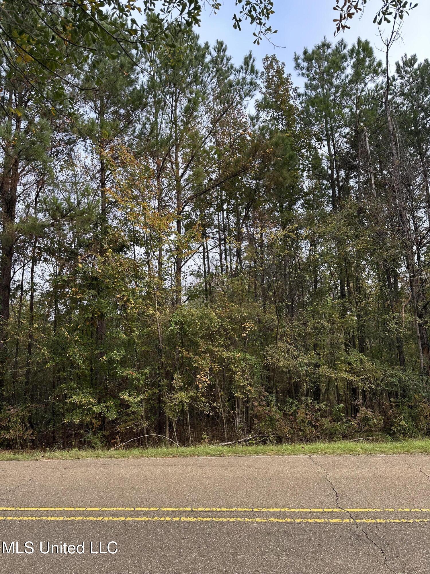 Mcraven Road Clinton, MS 39056 - Photo 4 of 16 IMG_0225