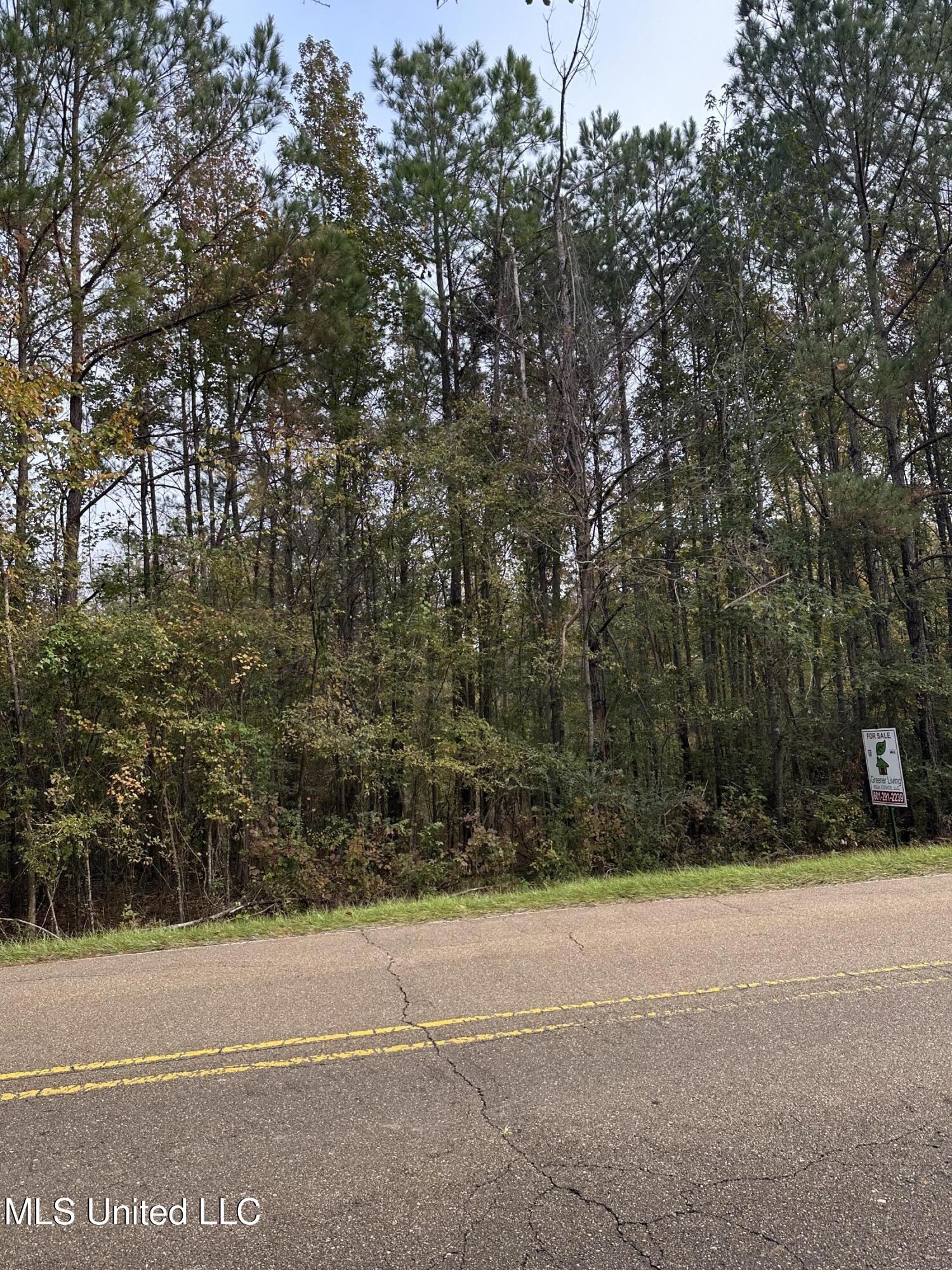 Mcraven Road Clinton, MS 39056 - Photo 6 of 16 IMG_0227