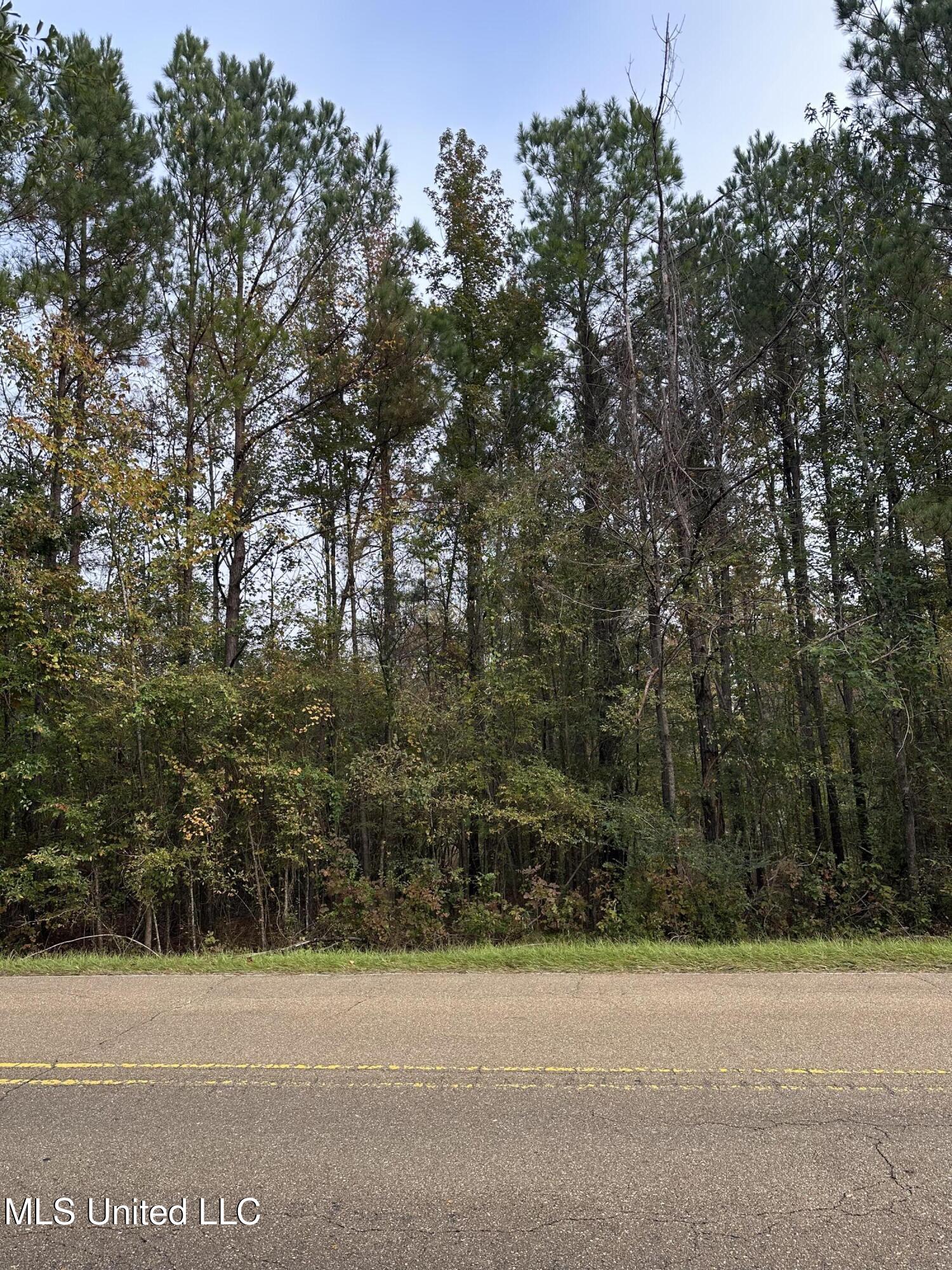 Mcraven Road Clinton, MS 39056 - Photo 8 of 16 IMG_0220