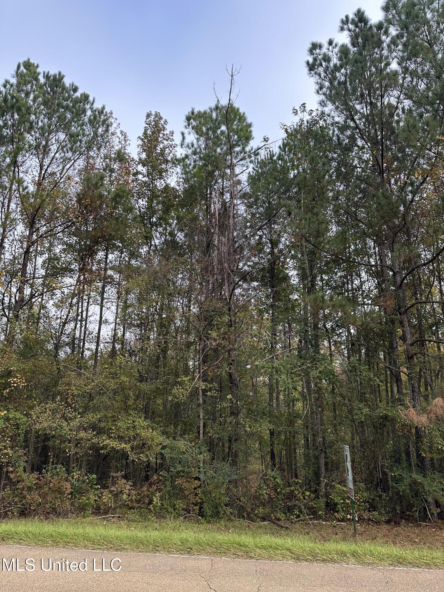 Mcraven Road Clinton, MS 39056 - Photo 9 of 16 IMG_0218