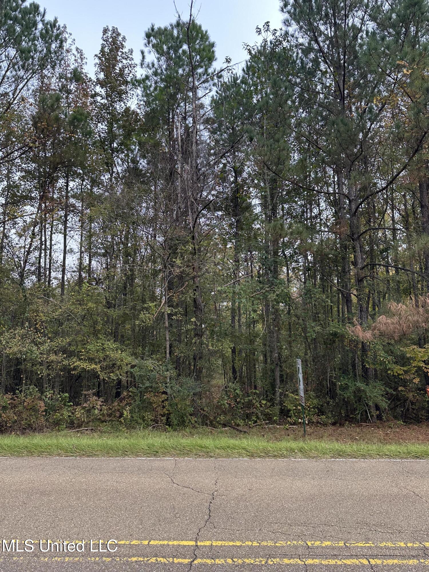 Mcraven Road Clinton, MS 39056 - Photo 10 of 16 IMG_0213