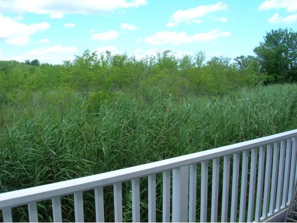 550 High Street, Unit 550 Hampton, NH 03842 - Photo 1 of 1 Gallery Image 1