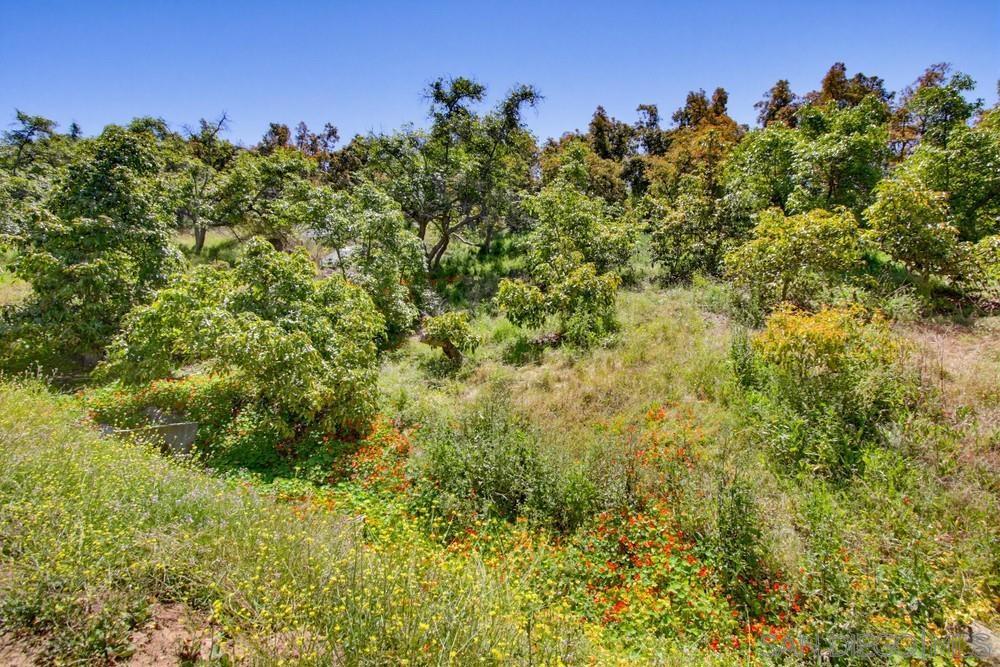 31675 Rancho Amigos Road Bonsall, CA 92003 - Photo 14 of 19 Gallery Image 14