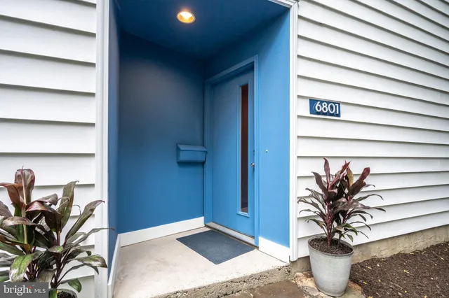 a view of a potted plant in a room