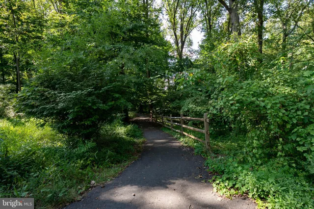 a view of a pathway both side of yard