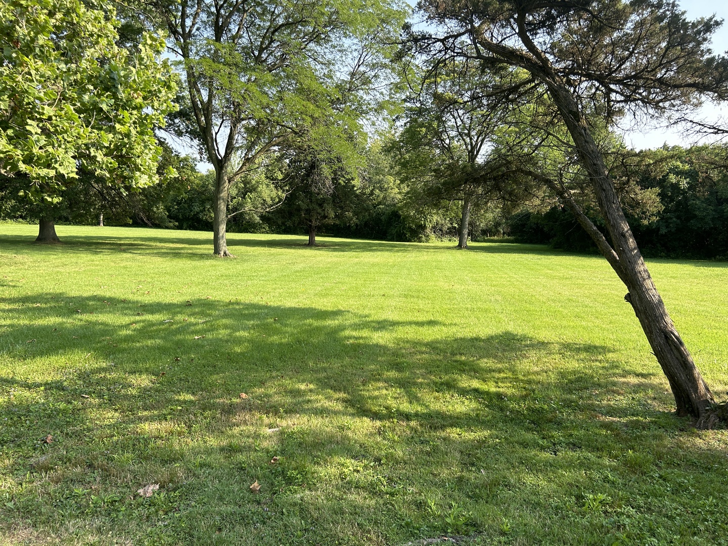 3005 York Road Oak Brook, IL 60523 - Photo 3 of 6