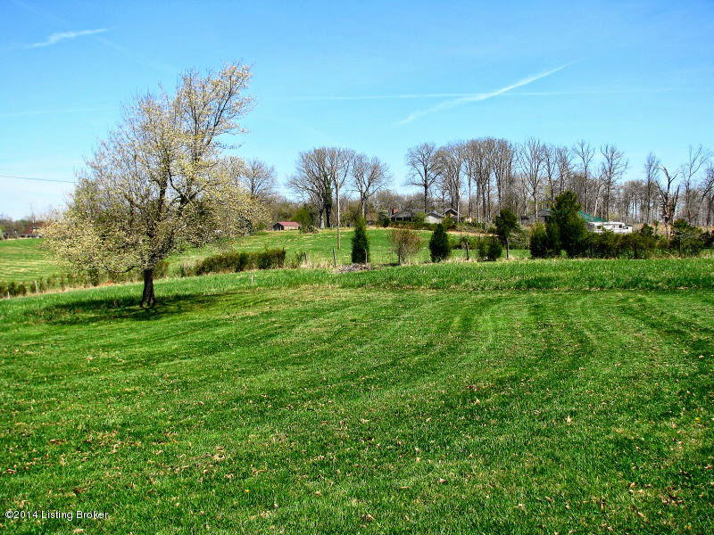 830 Gaines Road Brandenburg, KY 40108 - Photo 61 of 91 830 Gaines Road Spring (78)