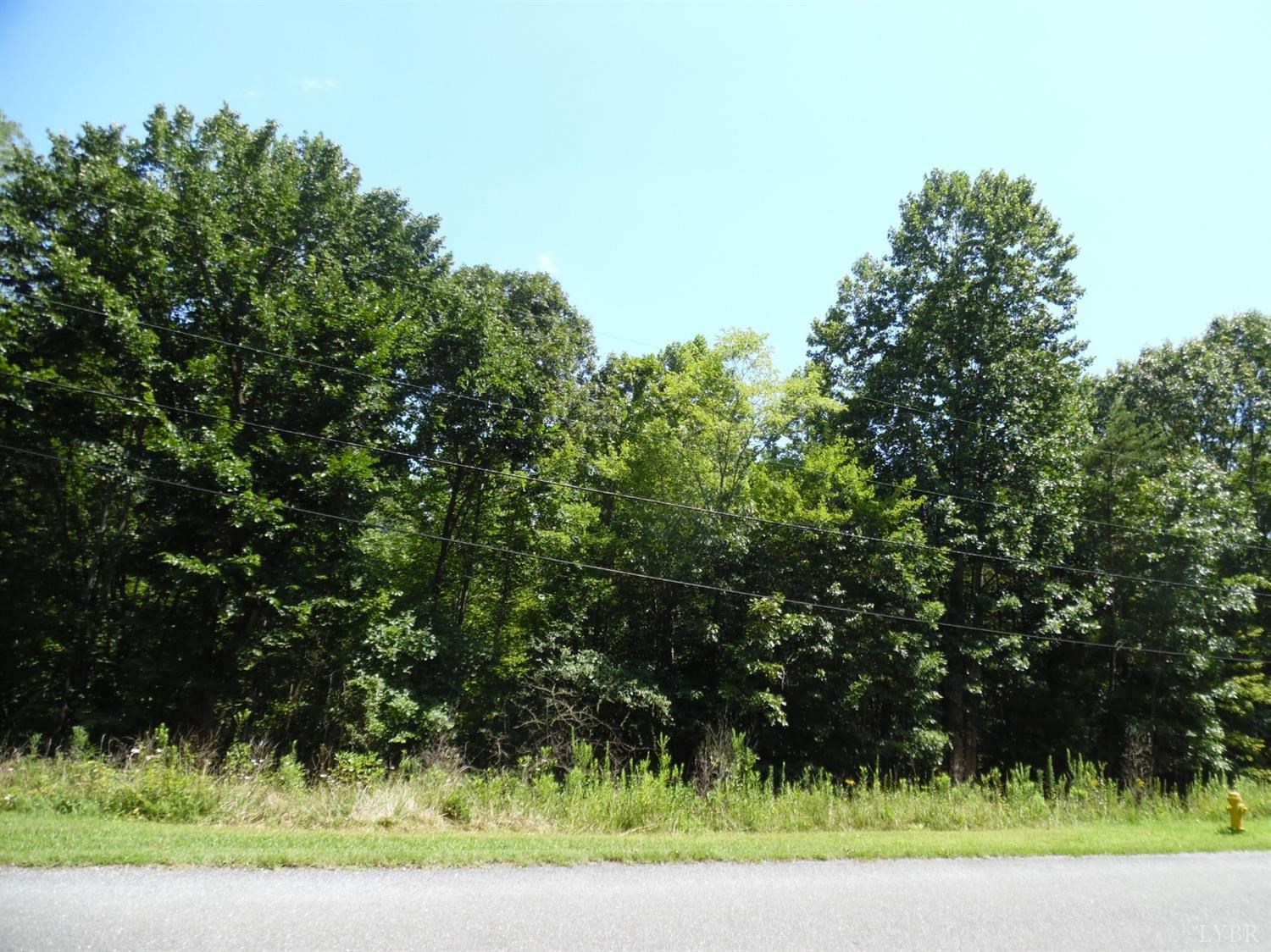 0 Rothwood Road Monroe, VA 24574 - Photo 2 of 8 a view of a yard