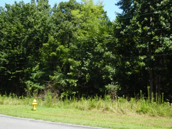 a view of a lush green space